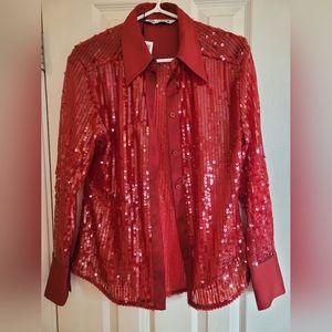 Zara Sequined Button Down Blouse